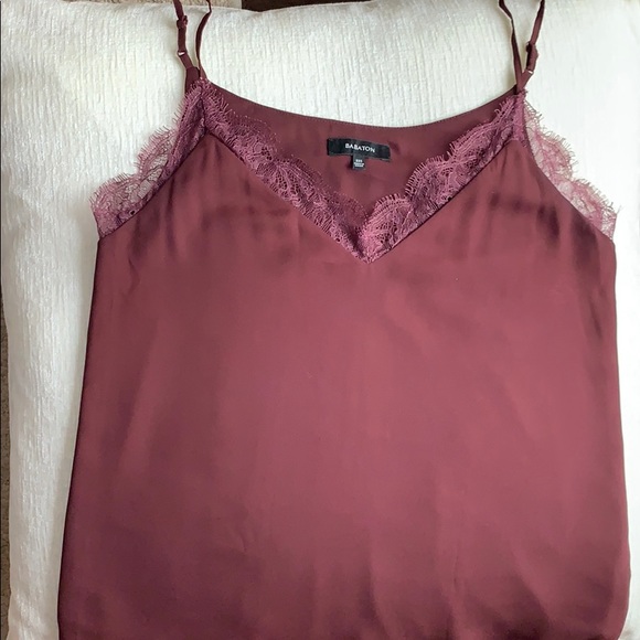 Aritzia Babaton Lace Camisole - Picture 2 of 7